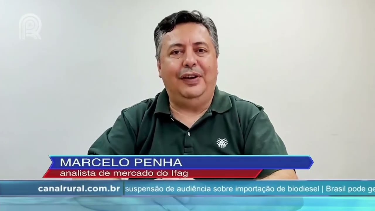 Preço da arroba do boi gordo apresenta queda no estado de Goiás | Canal Rural