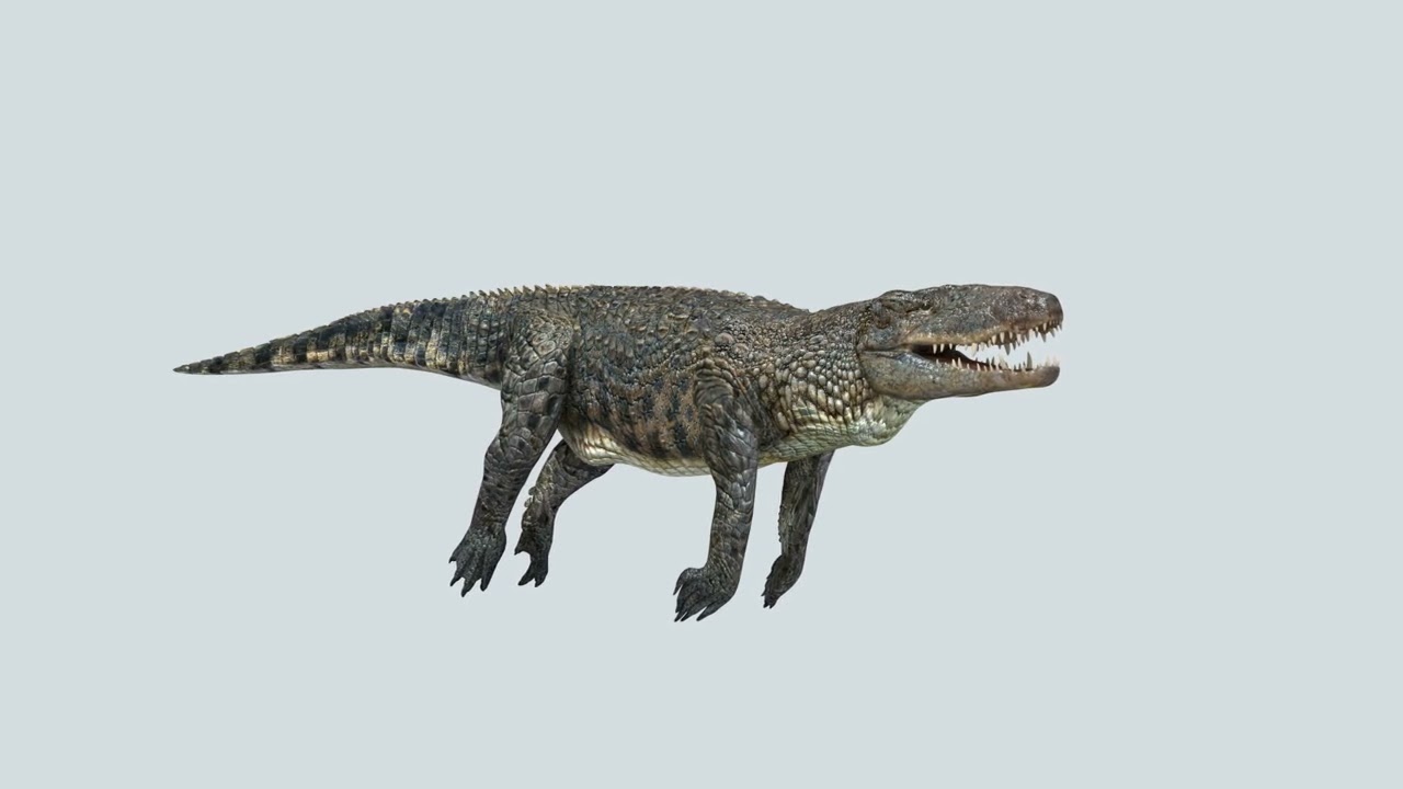 Postosuchus Barinasuchus Fasolasuchus HD - animato in 3D Modello 3D