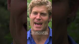 Vet Helps Family Choose A Pig To Adopt 🐖 #pig #shorts #bondivet #farmanimal