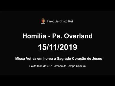 "As it was in the days of Noah, so it will be in the days of the Son of Man" (Homily - Fr. Overla...