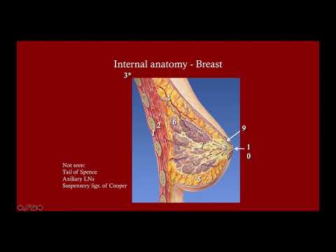 Breast Masses (Updated 2018) - CRASH! Medical Review Series - YouTube