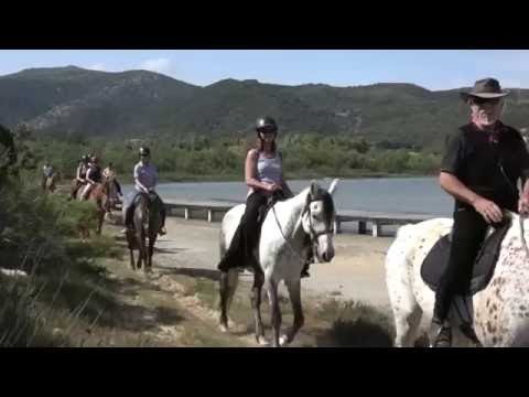 Sardegna Cavalli al Faro di Capo Spartivento