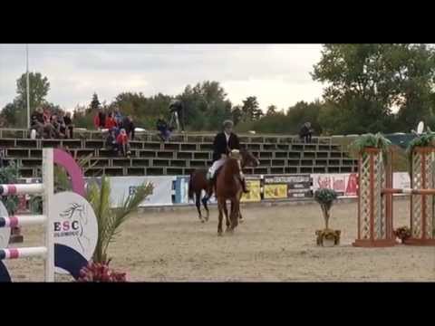 Sobotní poslední šance - Kompletní videozáznamy finále ČSP 2015 v Olomouci