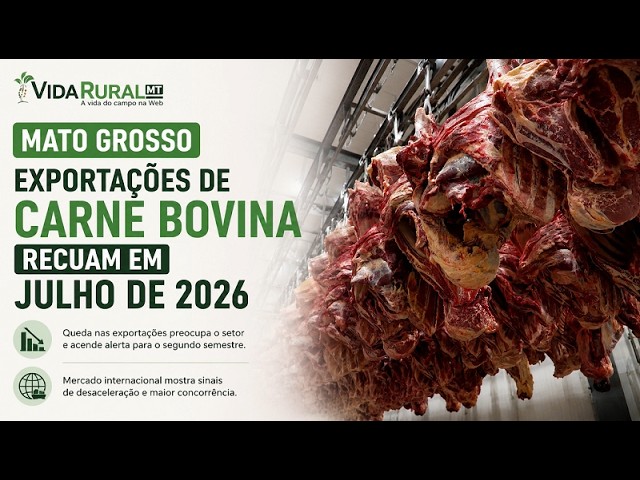 EXPORTAÇÕES DE CARNE BOVINA RECUAM EM JULHO DE 2026