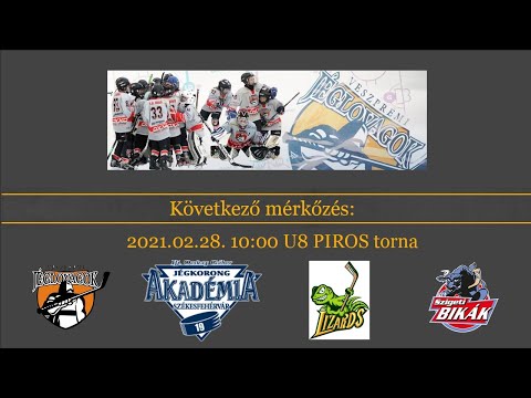 U8 piros torna "B" pálya