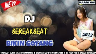 Download lagu DJ PAK RIS TIK TOK BEREAKBEAT BIKIN GOYANG (REQ INDRA KISARAN) FULL BASS TERBARU 2022 mp3