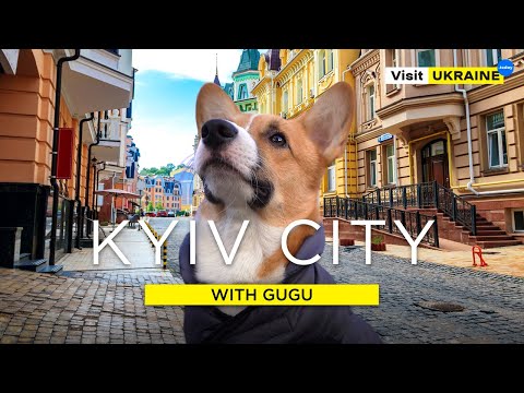 Kyiv city with dog. Landscape Alley and Vozdvizhenka 4K  / Kyiv / Ukraine / Пейзажная аллея
