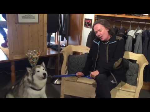 Red Canzian canta con Nanuke, una Alaskan Malamute non vedente della cremasca Piera