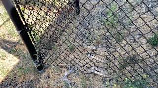 How to fix hole in chain link fence.