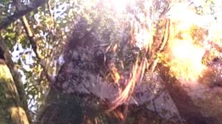Julia Willow Music Video