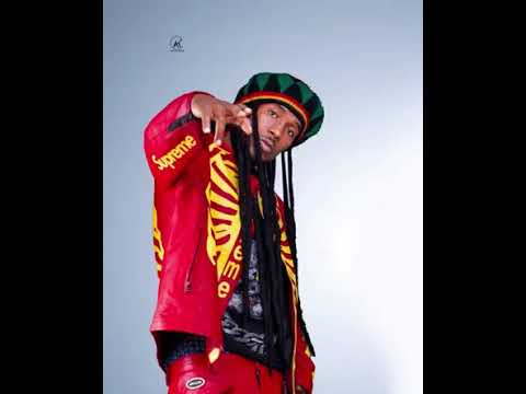 Y CELEB INSELE Part2 (2026 Letest song)