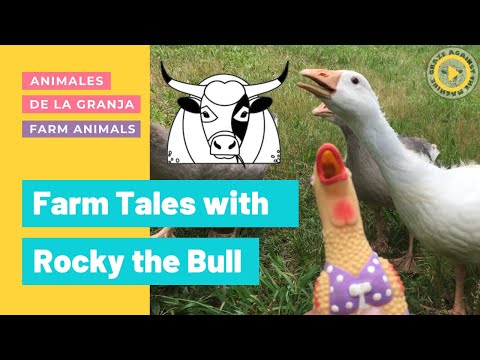 , title : 'Farm Tales with Rocky the Pineywoods Bull'