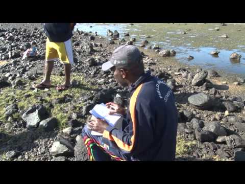 "Replicating Success-Sustainable Fisheries Management" (12') ENG