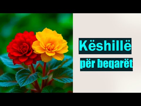 Këshillë për beqarët qe nuk martohen