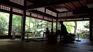 preview picture of video 'Japan Travel - KYOTO - Ruriko-in temple'