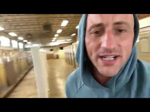 HELP The Animals, INC Part 1