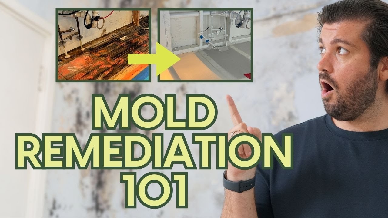 Video: Mold Remediation 101