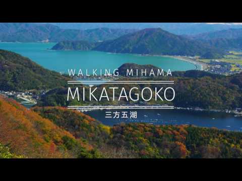 「美し美浜」 秋の美浜