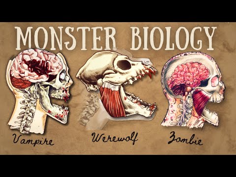 The Horrifying Biology of Monster Transformation (Compilation)