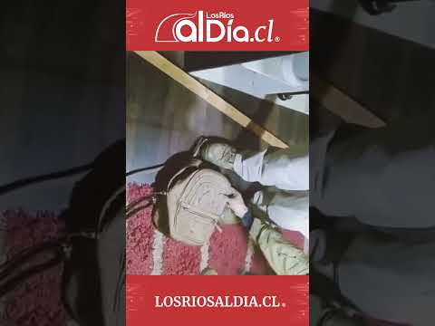 La Unión: ocho detenidos tras operativo antidrogas de Carabineros y Fiscalía SAC ECOH Los Ríos