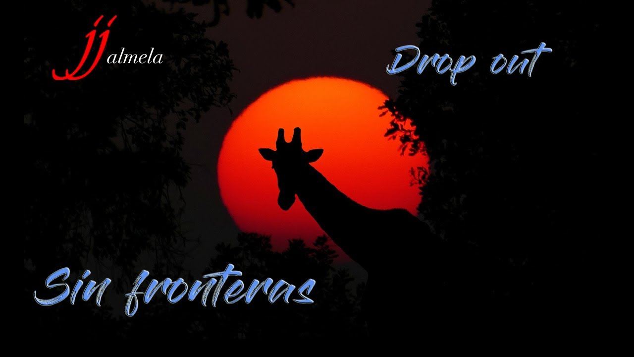 Sin fronteras
