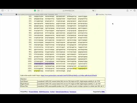 How to Design qPCR Primers for SYBR Green – Step-by-Step