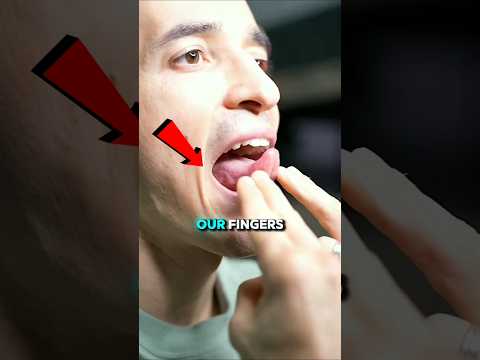 How To Whistle Super Loud 📣 #viralvideo #goviral #tutorial