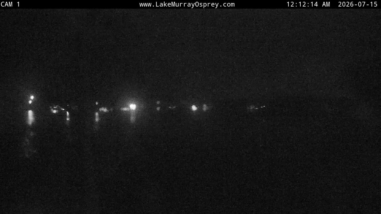 Live webcam view of Lake Murray Osprey Nest Cam