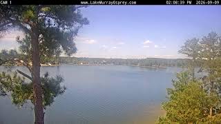 Lake Murray Osprey Live Cam 1 live webcam