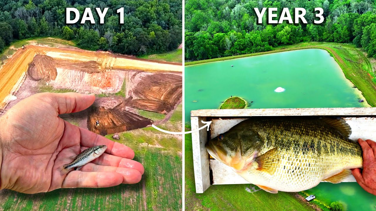 We Added Bass to the 5 Acre Pond 3 Years Ago (Surprising Results) | BamaBass