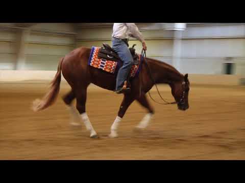 Gunsdynamitesnchics HIP # 2012