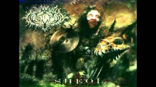 Naglfar - I am Vengeance (cello cover)