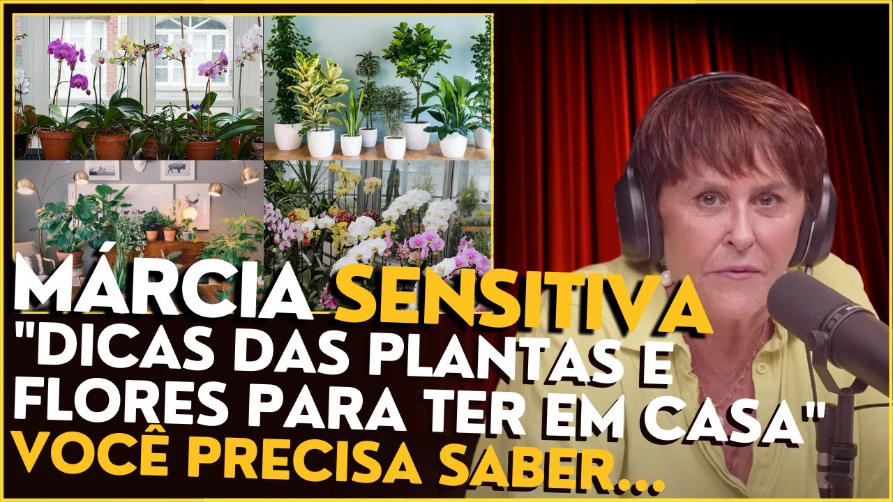 DICAS DA MARCIA FLORES E PLANTAS PARA TER EM CASA