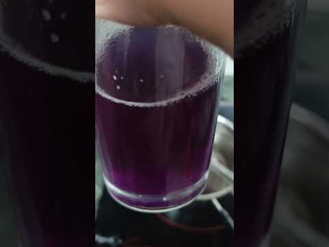 Blue tea full recipe #flowers #beverages #recipe #terracegardenindia #gardenflowers