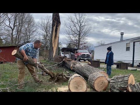 Cleaning up a downed oak tree: hand splitting and brush removal.