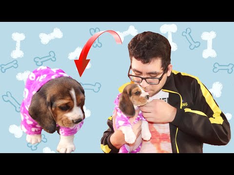 MI NUEVA CACHORRITA!!