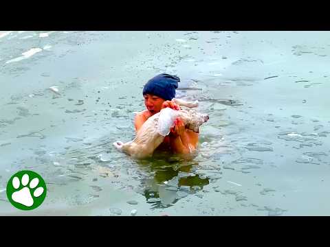 Hero shows incredible bravery saving a helpless pup ❤️