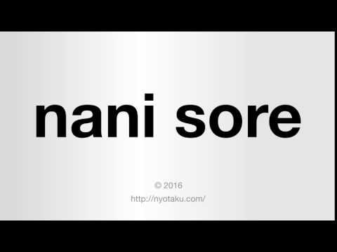 How to Pronounce Nani Sore