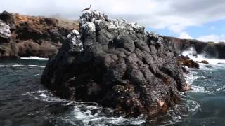 preview picture of video 'Floreana Island, Galapagos, travel highlight'