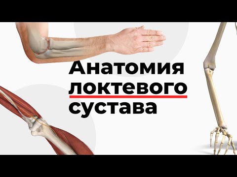 Лечение стволовыми клетками тазобедренного сустава Хорошая мазь от остеохондроза шейного отдела