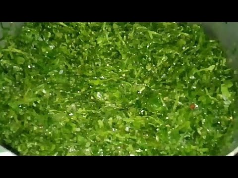 Couve na manteiga para 100 pessoas acompanhamento para feijoada #couve