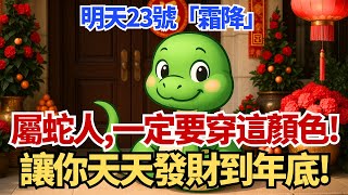 生肖蛇，明天23號，農曆九月初三是「霜降」，你穿這顏色衣服最招財！讓你天天發財到年底！#屬蛇 #生肖蛇 #霜降 #財運 #招財 #幸運色 #乙巳蛇年 #轉運 #開運 #旺財 #12生肖 #生肖運勢