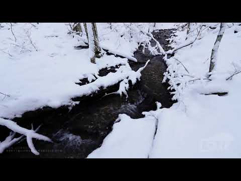 12-13-2020 Gaylord, MI - Post-Snowstorm Scenes - Beauty Along Jordan River