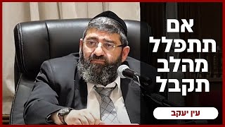 הרב אייל עמרמי - ט' מר חשוון תשפ"ה (הרב אייל עמרמי) - התמונה מוצגת ישירות מתוך אתר האינטרנט יוטיוב. זכויות היוצרים בתמונה שייכות ליוצרה. קישור קרדיט למקור התוכן נמצא בתוך דף הסרטון