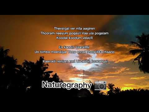 saayali song 🌈✨whatsapp status full screen🌼🎼