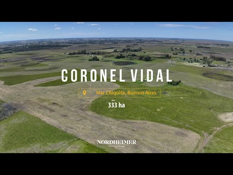 Coronel Vidal, Mar Chiquita, Buenos Aires - 333 ha | Campo en venta