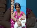 Sorts Funny Shorts Ytviral Viral Shorts Trending SonaSingh V5s