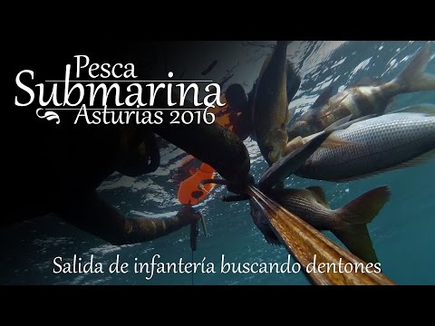 PESCA SUBMARINA POR ASTURIAS (salida de infanteria buscando dentones)