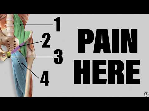 Groin Pain Rehab | Adductor Strain / Pull (Education | Myths | Stretches & Strengthening Exercises)