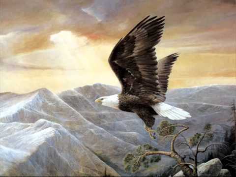 Ramona Ibanescu As vrea sa zbor